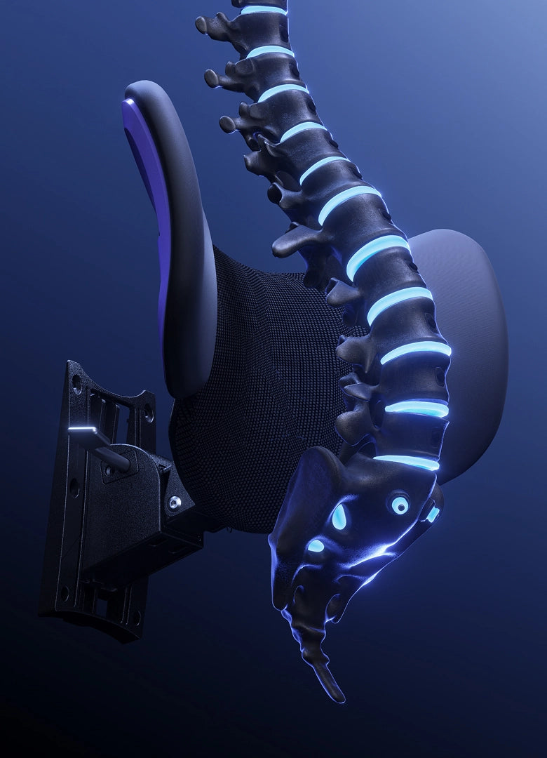 DYNAMIC LUMBAR SUPPORT
