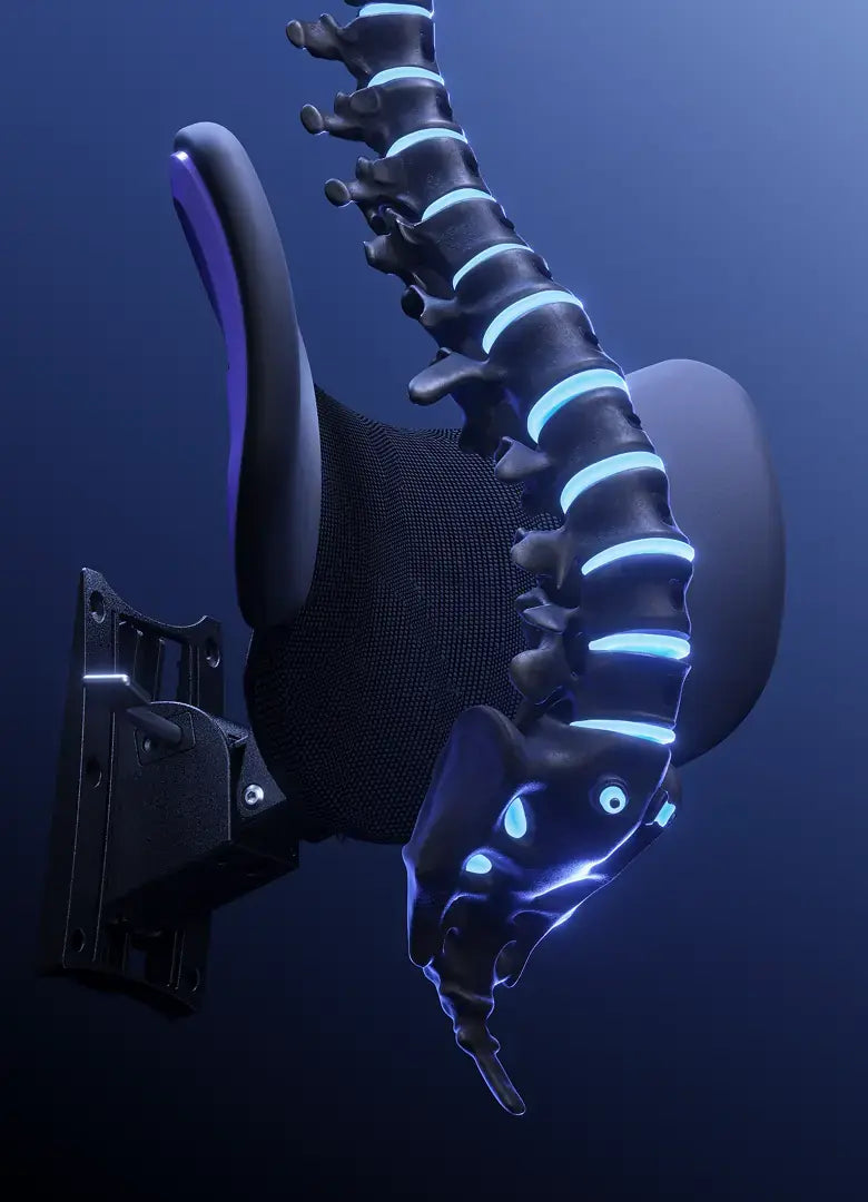 Lumbar Support Adjustment
